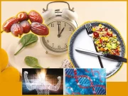 دوران روزہ جسم میں جنم لیتی سالماتی تبدیلیاں