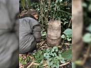 ٹوٹا ہوا گملا 1 کروڑ سے زائد روپے میں فروخت، آخر وجہ کیا بنی؟