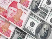 اکنامک ایڈوائزری کونسل کی شرح تبادلہ دباؤ میں رکھنے پر تشویش