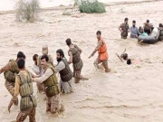 بارشوں سے نقصانات، تجاوزات اور ٹمبر مافیا