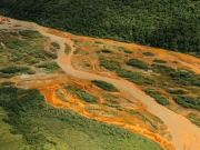 الاسکا میں دریاؤں کا رنگ نارنجی کیوں ہوتا جارہا ہے؟