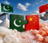 ایس آئی ایف سی کی سہولت کاری کے باعث بی ٹو بی معاہدات میں تیزی