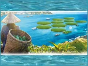 سمندری پانی سے گندم و چاول اُگانے کا انقلابی منصوبہ