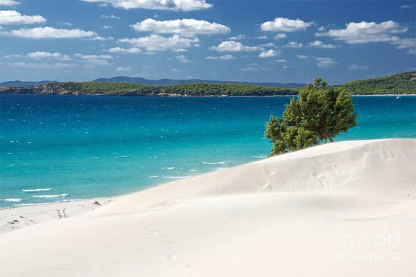 Sardena white sand 4