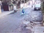 اسکول جاتے ہوئے اغوا کی گئی 14 سالہ طالبہ کو ملزم ورغلا کر کہاں لے گیا؟ ویڈیو دیکھیں