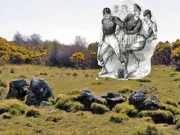 فٹبال کا موجد انگلینڈ نہیں اسکاٹ لینڈ ہے، اسکاٹش مورخ