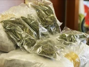  کوئٹہ سے کراچی منشیات کی ترسیل ناکام بنادی گئی