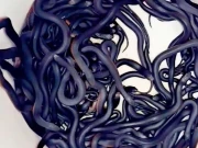 آسٹریلیا میں ایک گھر سے 100 سے زائد زہریلے سانپ برآمد