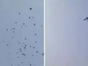 شادی کی تقریب، دُلہن کے گھر پر طیارے سے لاکھوں روپوں کی بارش