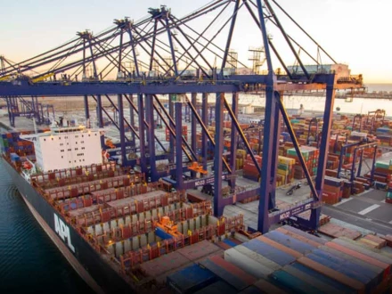 تمام پاکستانی پورٹس میں داخلے پر پابندی، خبر میں کتنی سچائی، وزارت کا بیان آگیا