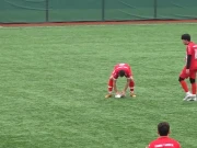 استنبول: فٹبال میچ کے دوران نایاب واقعہ، گیند لگنے سے بے ہوش پرندے کو کھلاڑیوں نے بچا لیا