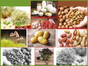 غذائیں! جو خطرناک ثابت ہو سکتی ہے