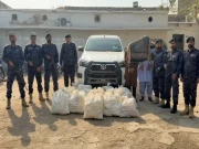 اینٹی نارکوٹکس فورس کا کامیاب آپریشن، بھاری مقدار میں منشیات برآمد، دو ملزم گرفتار