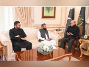 شبیر احمد عثمانی کو کوآرڈینیٹر برائے سیفران کی ذمے داریاں بھی سونپ دی گئیں