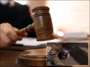 شادمان نالے میں موٹر سائیکل گرنے کا حادثہ: متاثرہ شہری کو 99 لاکھ ادا کرنے کا حکم