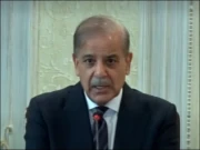 پی ٹی آئی نے اپنے غیرقانونی ہتھکنڈوں سے ملک کی بے عزتی کرائی، وزیراعظم