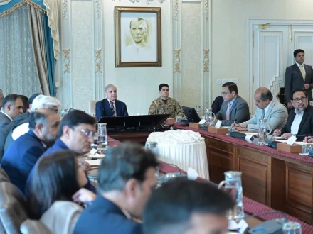 برآمدات بڑھانے کےلیے ملکی و غیرملکی سرمایہ کاروں کو تمام سہولیات دینے کی ہدایت