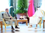  قطر کی سرمایہ کاری، نئے زاویے