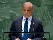 ماحولیاتی تباہی کا بوجھ ہم اٹھا رہے ہیں، قصور بڑے ممالک کا ہے، شہباز شریف