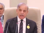 غزہ بحران؛ اسرائیل کو ہتھیاروں کی فراہمی پر فوری پابندی عائد کی جائے، وزیراعظم