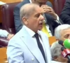 جنگ کی طویل رات کے بعد امن کا سورج طلوع: جنیوا میں ایران امریکا معاہدے کا میزبان پاکستان ہوگا، وزیراعظم