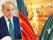 شہباز شریف سے چینی وزیر کی ملاقات؛  کان کنی، معدنیات اور دیگر شعبوں میں تعاون بڑھانے پر اتفاق