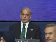 فوٹو: اسکرین گریب