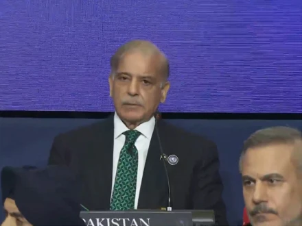 فوٹو: اسکرین گریب