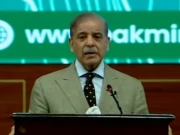 پاکستان اپنے معدنی ذخائر کی بدولت آئی ایم ایف کو خیرباد کہہ سکتا ہے، وزیراعظم