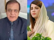 پشاور ہائی کورٹ کا شبلی فراز اور زرتاج گل کو گرفتار نہ کرنے کا حکم