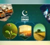 ایس آئی ایف سی کی کاوشوں سے توانائی فراہمی ، تحفظ اور سرمایہ کاری کا فروغ