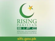ایس آئی ایف سی کے تحت معاشی سفر، پاکستان نے اب تک کن شعبوں میں ترقی کی؟