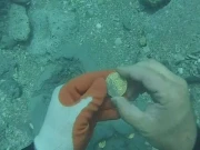 18ویں صدی میں غرق جہاز میں 20 ارب ڈالر کا سونا موجود، پہلی قسط نکال لی گئی