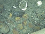 سمندر کی تہہ میں موجود اربوں مالیت کے جہاز سے متعلق دلچسپ انکشاف