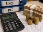 سندھ پی اے سی کی 33 ارب روپے کی ریکارڈ ریکوری