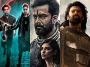  2024 کی سب سے زیادہ سرچ کی جانے والی بھارتی فلم 