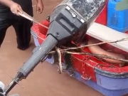 دریائے راوی میں شاہدرہ پل کے قریب سانپ نکل آیا، ویڈیو دیکھیں