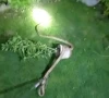 کراچی، گلستان جوہر میں کئی فٹ لمبا سانپ نکل آیا، مکینوں میں خوف و ہراس