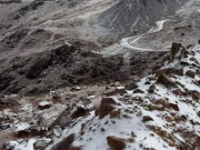 سعودی عرب میں برفباری کے بعد صحراؤں میں اونٹوں کے نایاب مناظر وائرل  