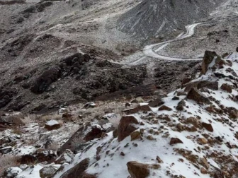 سعودی عرب میں برفباری کے بعد صحراؤں میں اونٹوں کے نایاب مناظر وائرل  