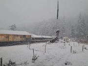 شمالی علاقوں میں بارش اور برفباری کا امکان، شدید دھند کی توقع