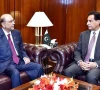 ججز سمری پر دستخط نہ کرنے کا معاملہ، صدر سے مذاکرات کا ٹاسک اسپیکر قومی اسمبلی کے سپرد