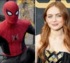 اسپائیڈرمین کی نئی فلم میں سیڈی سنک کا کردار کیوں چھپایا گیا؟ ہدایتکار نے راز سے پردہ اٹھا دیا