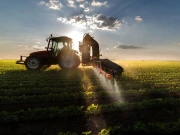 زرعی شعبے، موسمیاتی تبدیلی کے چیلنجز سے نمٹنے میں سندھ حکومت کو بڑی کامیابی