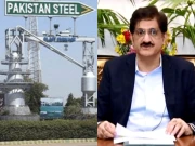 وزیر اعلیٰ سندھ نے اسٹیل مل کی بحالی کیلیے روس سے مدد مانگ لی