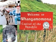 انوکھی جمہوریہ جہاں کتا اور بکرا بھی صدر بن چکے