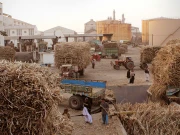 90 فیصد شوگر ملز غیر فعال، ملک میں چینی کا مصنوعی بحران