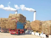 15نومبر تک شوگر سیکٹر پر مکمل ٹریک اینڈ ٹریس سسٹم نافذ