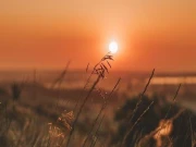 آج سال کا سب طویل دن اور مختصر ترین رات ہوگی