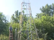 امریکی مالی کا اُگایا سورج مکھی عالمی ریکارڈ کے قریب